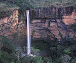 Tema